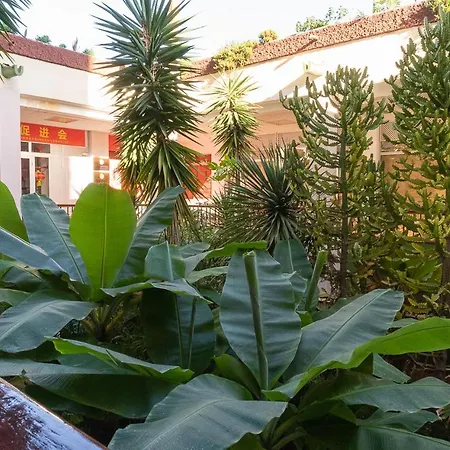Daire El Dorado Arona (Tenerife)